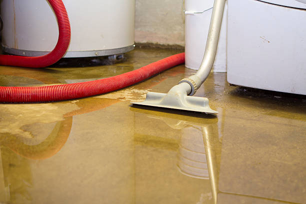 Best Emergency water extraction  in Kings Mills, OH