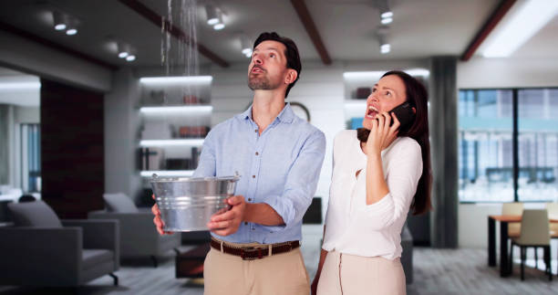 Best Water damage restoration cost  in Kings Mills, OH